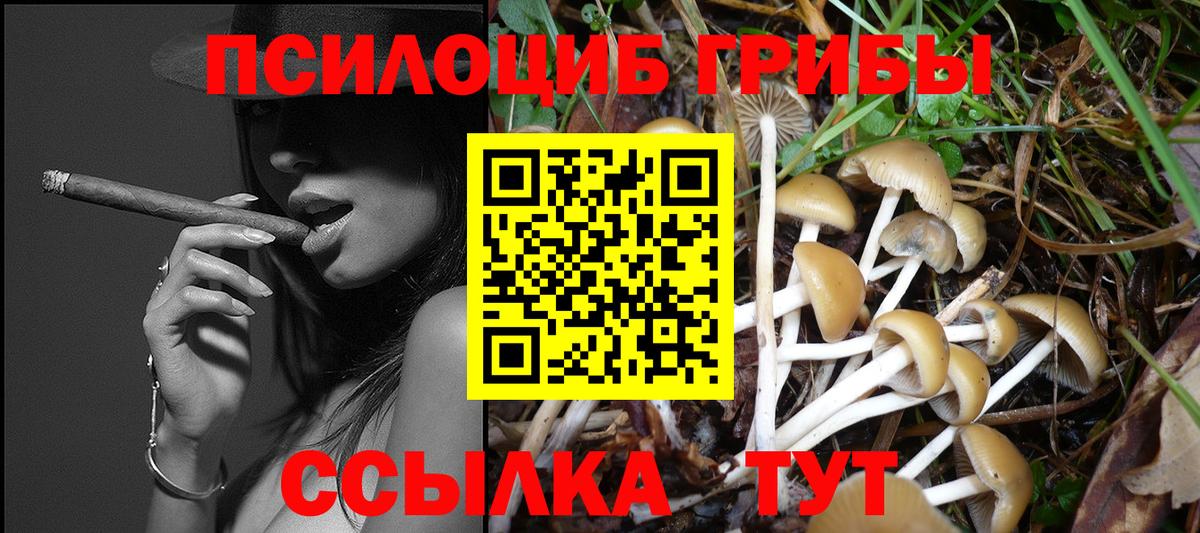 дарнет шоп  Псилоцибиновые грибы Psilocybine cubensis  Вход с VPN  Старая Русса 